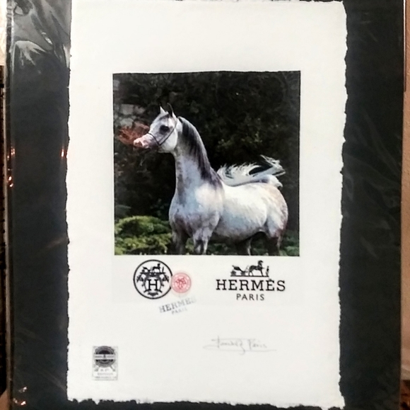 HERMÉS, Arabian Stallion Print, By Fairchild Paris - Picture 2 of 12